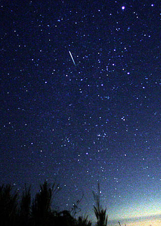 夜空の星をみておやすみなさい 心の光を見出そう